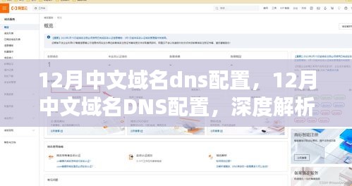 12月中文域名DNS配置详解，深度解析与观点阐述