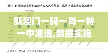 新澳门一码一肖一特一中准选,数据实施导向_钻石制88.983