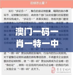 澳门一码一肖一特一中是公开的吗,确保成语解释落实的问题_6DM37.740