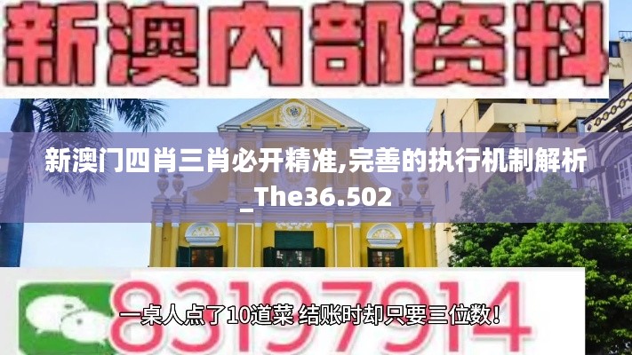 新澳门四肖三肖必开精准,完善的执行机制解析_The36.502