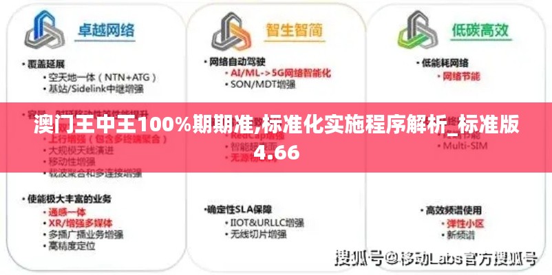 澳门王中王100%期期准,标准化实施程序解析_标准版4.66