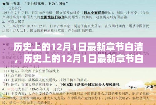 历史上的12月1日，白洁章节深度测评与介绍