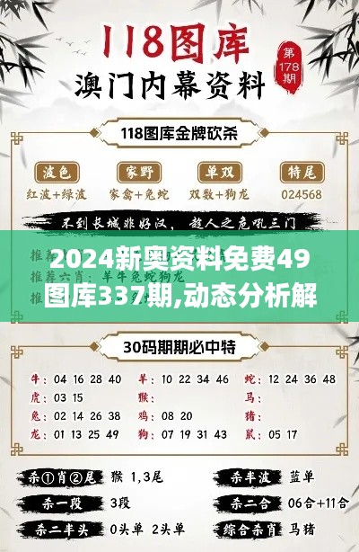 2024新奥资料免费49图库337期,动态分析解释定义_影像版48.144-2