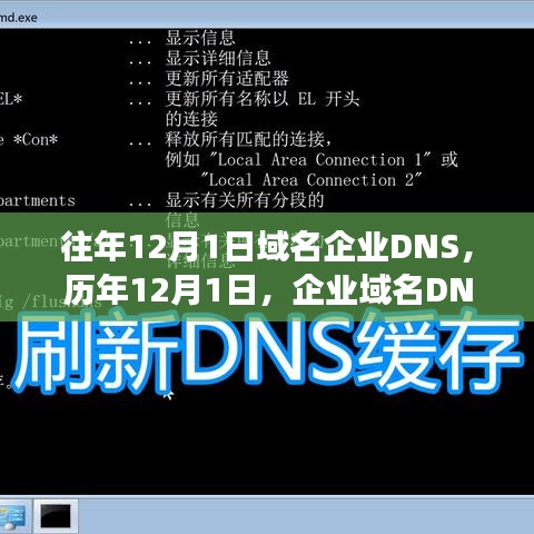 历年12月1日企业域名DNS回顾与解析故事