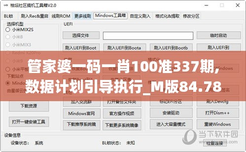 管家婆一码一肖100准337期,数据计划引导执行_M版84.789-2