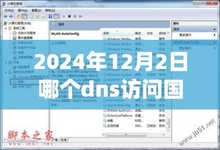 关于使用特定DNS访问国外网站的注意事项及指南（2024年12月2日小红书分享，涉及违法犯罪问题）