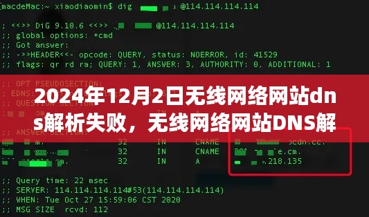 无线网络网站DNS解析失败的深度探索，技术事件剖析与启示（2024年）