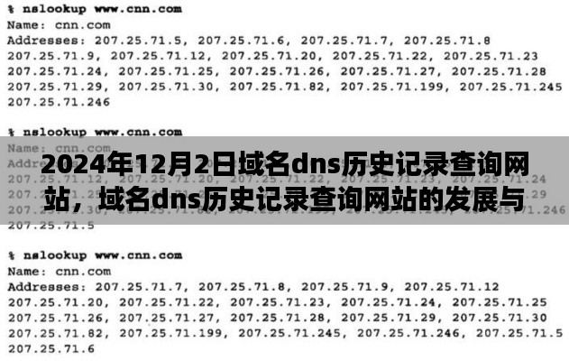 2024年域名DNS历史记录查询网站的发展及其影响