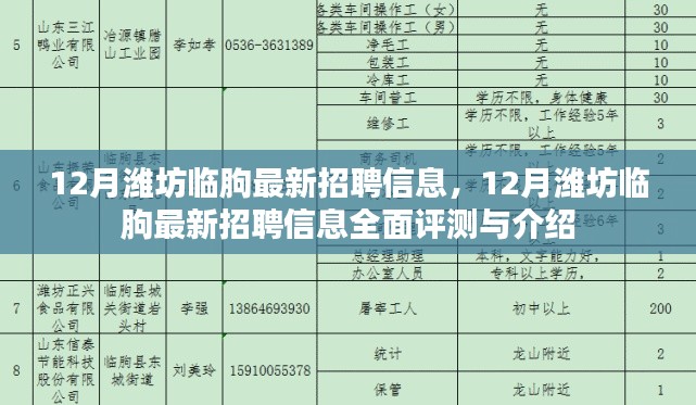 12月潍坊临朐最新招聘信息全面评测与介绍