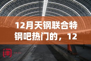 2024年12月3日 第6页