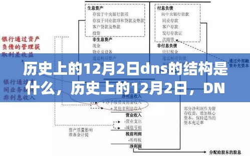 历史上的12月2日DNS结构演变及其深远影响