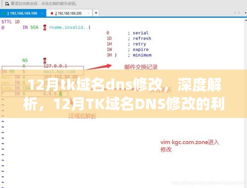 变革十字路口，12月TK域名DNS修改的利与弊深度解析