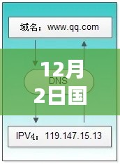 2024年12月4日 第24页