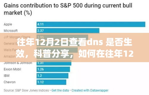 往年12月2日DNS设置验证指南，如何检查DNS是否生效的科普分享