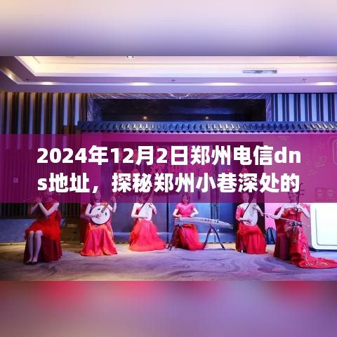 探秘郑州小巷深处的电信秘境，特色小店的DNA与2024年郑州电信DNS地址揭秘