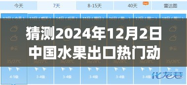 洞察未来趋势，2024年12月2日中国水果出口热门动向探析与预测分析