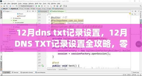 12月DNS TXT记录设置全攻略，零基础操作指南