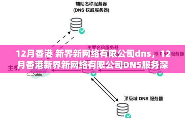 香港新界新网络有限公司DNS服务深度评测与介绍，十二月特别关注