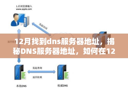 揭秘DNS服务器地址，如何在12月轻松找到DNS服务器地址的方法