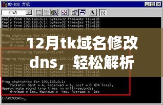十二月TK域名DNS设置详解，轻松解析与修改指南