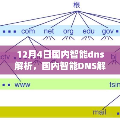 国内智能DNS解析设置全攻略，轻松上手，掌握智能DNS解析技巧