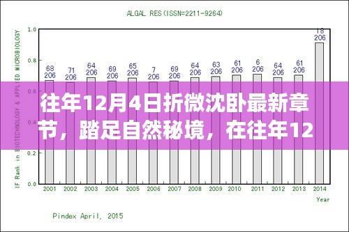 往年12月4日踏足自然秘境，微光中的内心宁静之旅