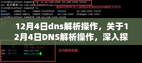 12月4日DNS解析操作深度解析，利弊探讨与个人观点