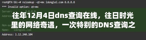 往日时光里的网络奇遇，一次特别的DNS查询之旅回顾