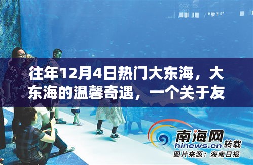 大东海的温馨奇遇，友情、爱与陪伴的感人故事