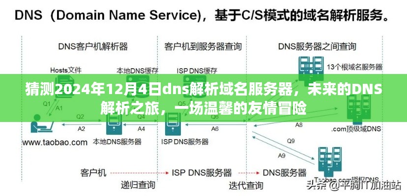 未来DNS解析之旅，预测2024年域名服务器变革与友情冒险