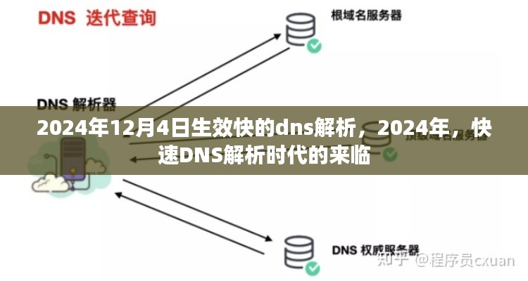 2024年快速DNS解析时代的来临，新解析服务生效