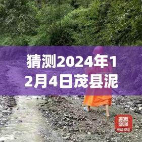 2024年12月6日 第9页