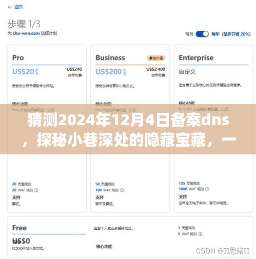 探秘小巷深处的宝藏，特色小店的DNS秘密与独特环境之旅（2024年12月4日备案DNS揭晓）