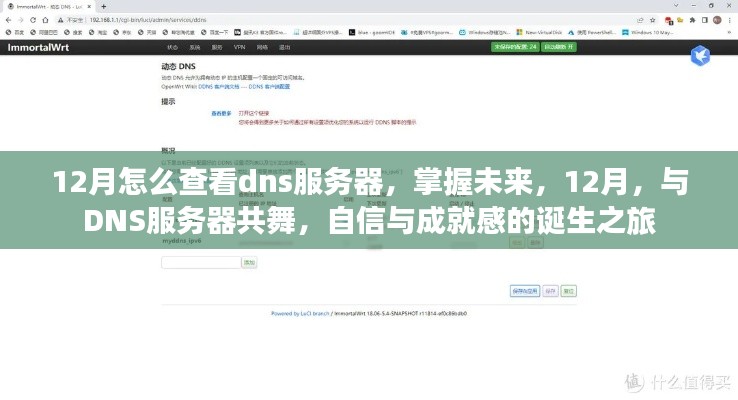 12月怎么查看dns服务器，掌握未来，12月，与DNS服务器共舞，自信与成就感的诞生之旅