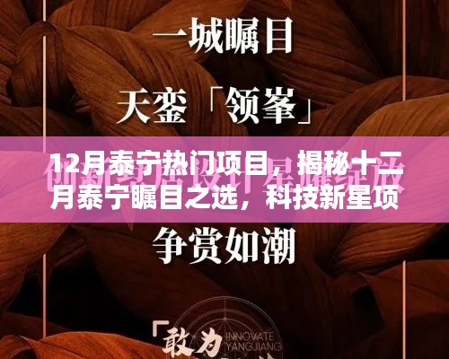 揭秘泰宁科技新星项目，引领未来生活革新，十二月瞩目之选