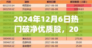 2024年12月6日热门破净优质股全面测评，特性、体验、竞品对比及用户群体深度剖析