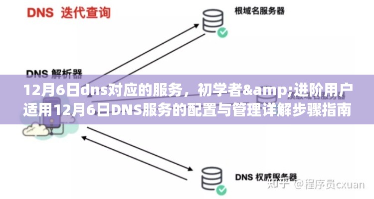 12月6日DNS服务配置与管理详解，适合初学者与进阶用户的步骤指南