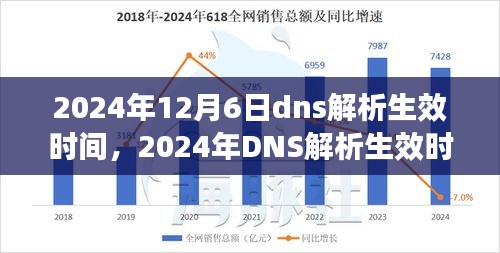 2024年DNS解析生效时刻，背景、影响与领域地位全面解析