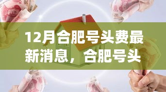 深度解读合肥号头费最新动态，产品特性与用户体验全面评测