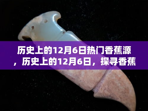 揭秘香蕉源神秘面纱，历史上的12月6日探寻之旅