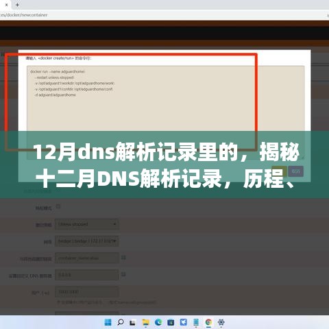 揭秘十二月DNS解析记录，历程、重大事件与领域地位的深度洞察