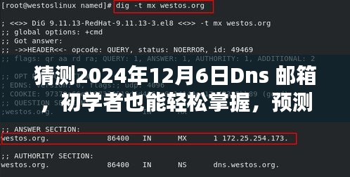 初学者也能轻松掌握，预测未来DNS邮箱地址的步骤指南（以预测2024年12月6日DNS邮箱为例）