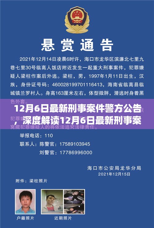 深度解读，12月6日刑事案件警方公告详解及用户群体分析