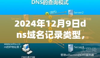 深度解析，回望与前瞻2024年DNS域名记录类型的发展