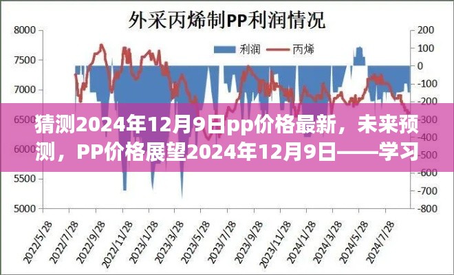 揭秘PP价格走势，展望2024年12月9日，学习变化与自信成就之旅。