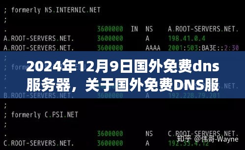 2024年12月9日国外免费dns服务器，关于国外免费DNS服务器使用指南，2024年12月9日前的深度解析