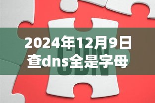 跃动字母的力量，励志的DNS桥梁开启新纪元（励志故事发生在2024年）