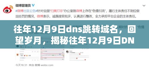 揭秘，往年12月9日DNS跳转域名的历史与影响回顾