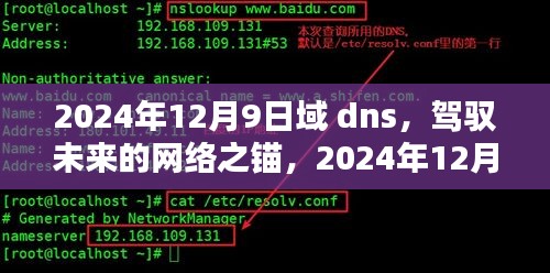 驾驭未来的网络之锚，探索DNS的魅力与力量在2024年12月9日