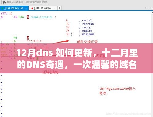 十二月DNS更新指南，域名奇遇与温馨之旅
